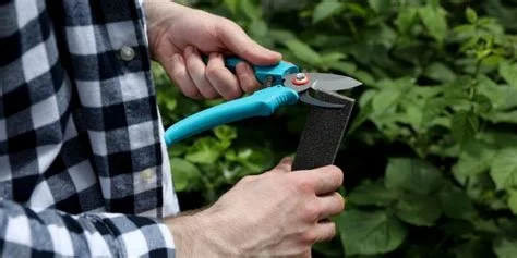 Preparing Garden Tools and Irrigation for the Busy Season Ahead