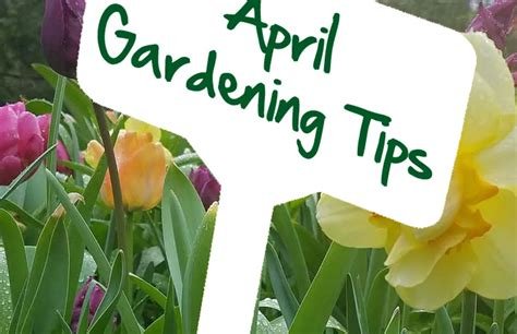 April Garden Checklist for Southern New Hampshire