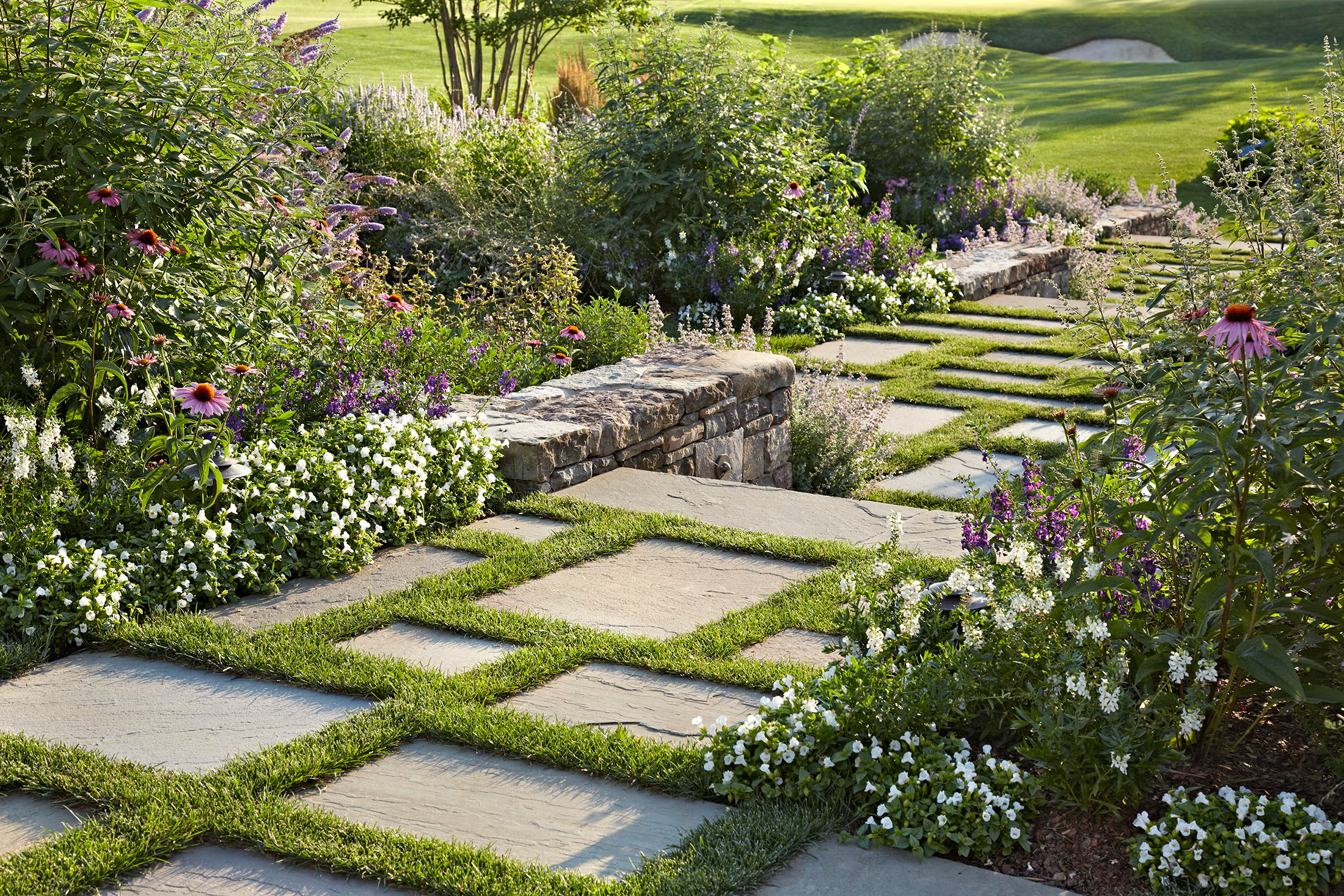Creating a Pollinator Pathway in Your Backyard