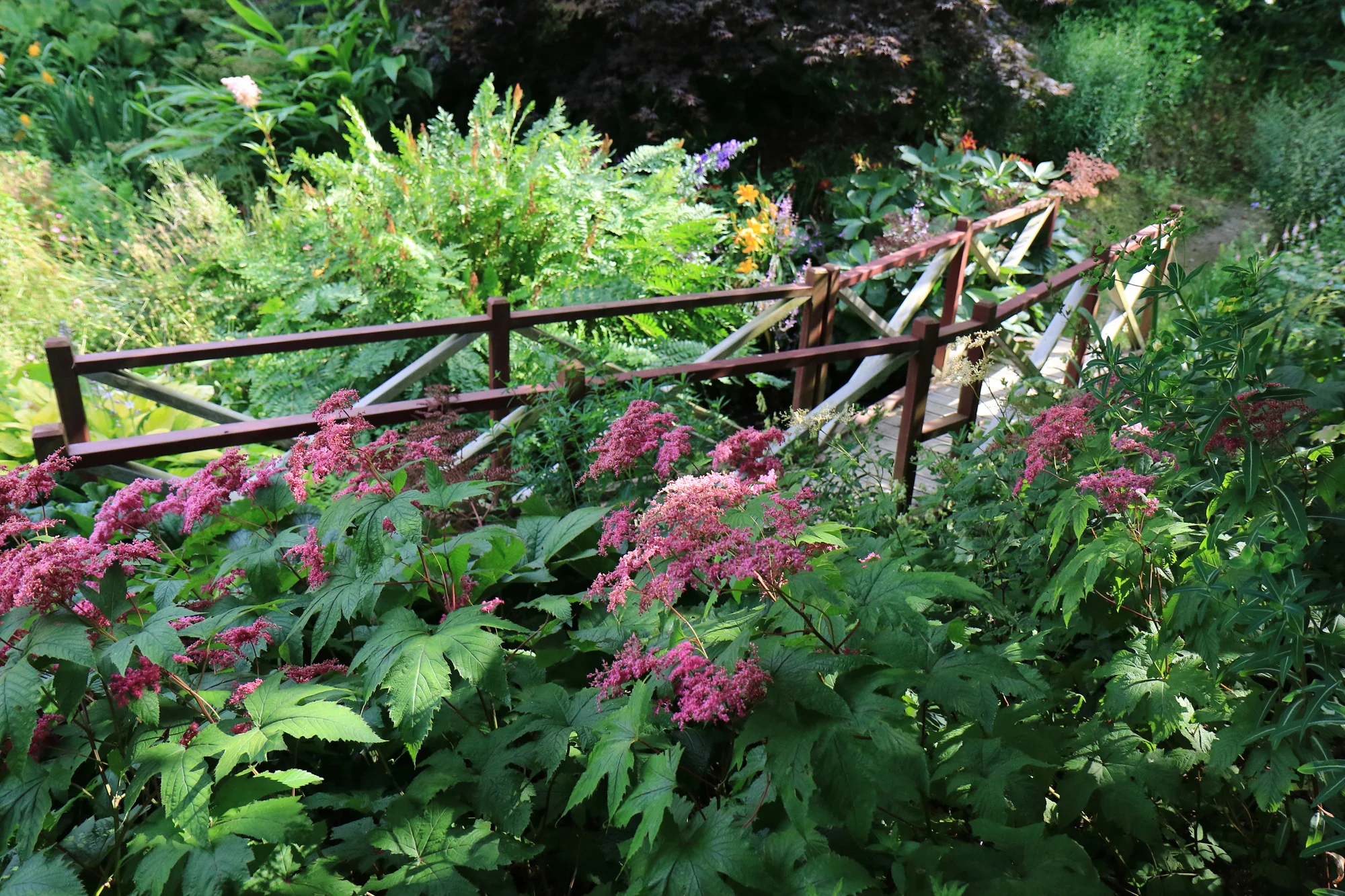 Seacoast Gardener's End-of-May Garden Checklist for Portsmouth, New Hampshire
