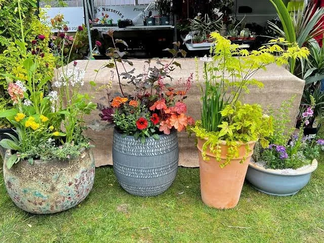 Refreshing Container Gardens in Mid-Summer: A Rye Gardener's Guide