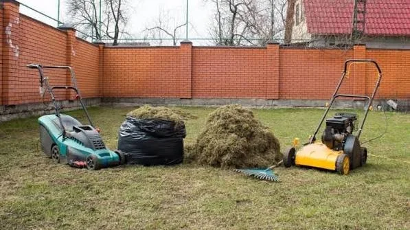 Lawn Renovation Month: Overseeding and Soil Aeration in Portsmouth