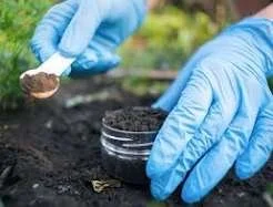 Soil Health Checkup: Prepping Beds for Fall Success in North Hampton