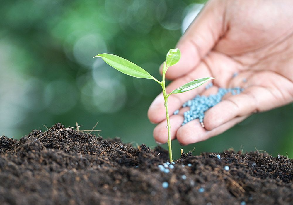 Understanding Fertilizer Numbers: What Do 4-10-3 and 10-10-10 Really Mean?