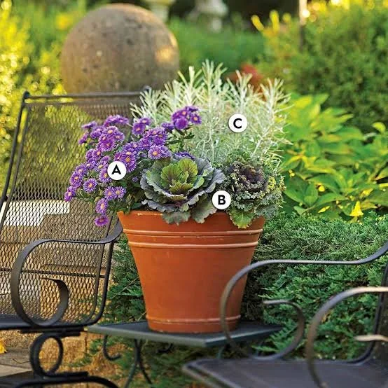 Early Fall Containers in North Hampton