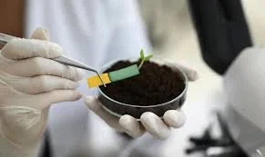 Soil Health Checkup