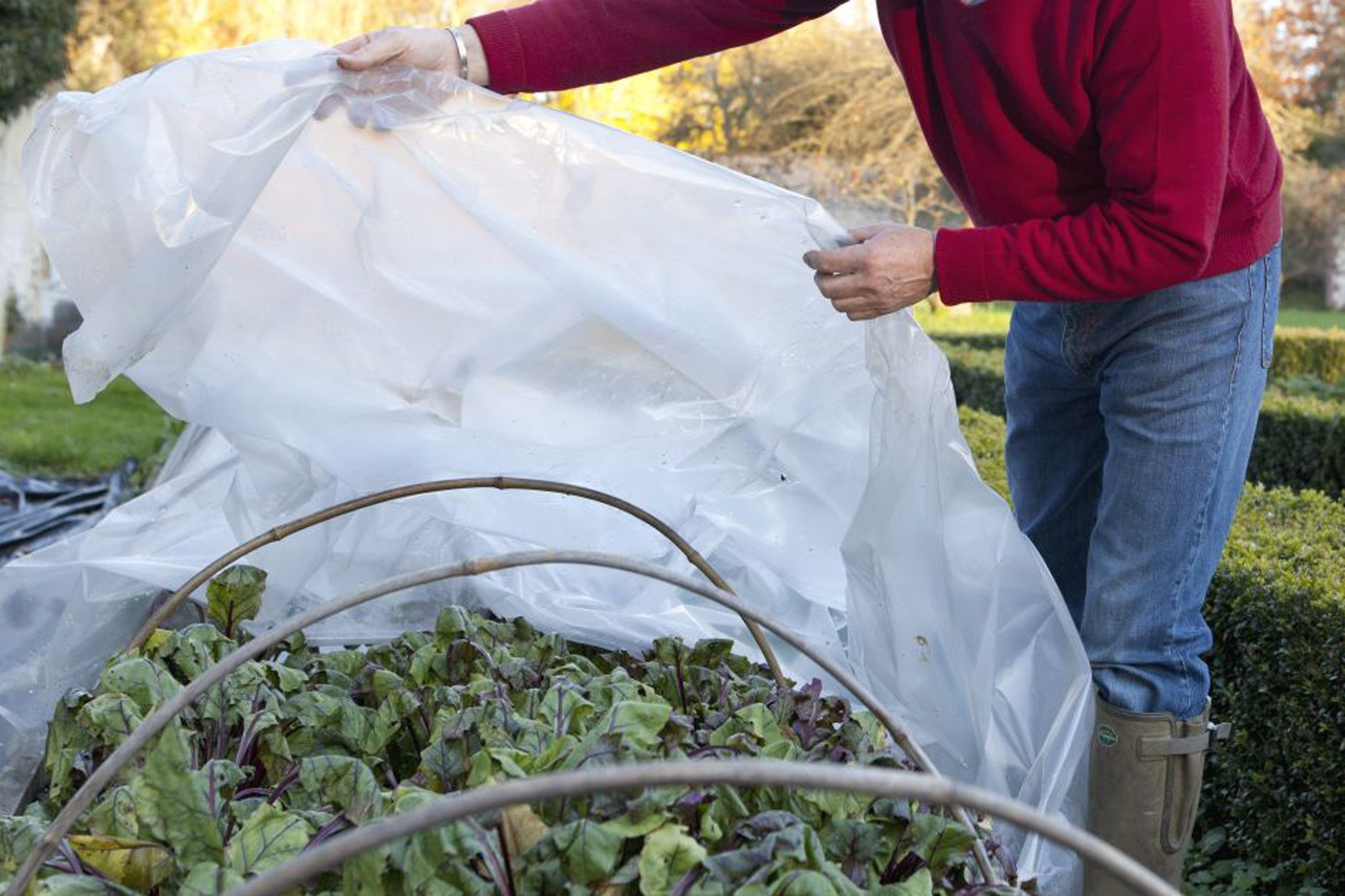 Preparing Outdoor Containers for Winter
