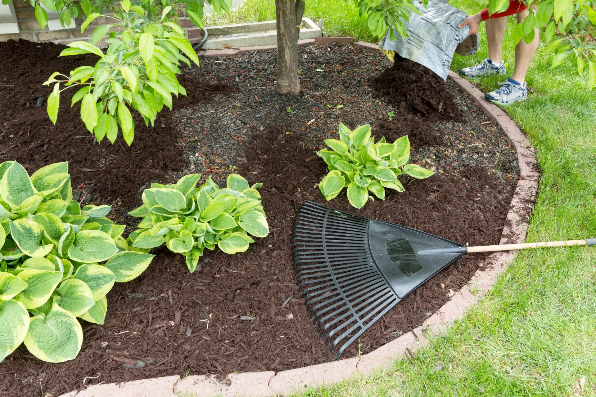 Refresh Mulch
