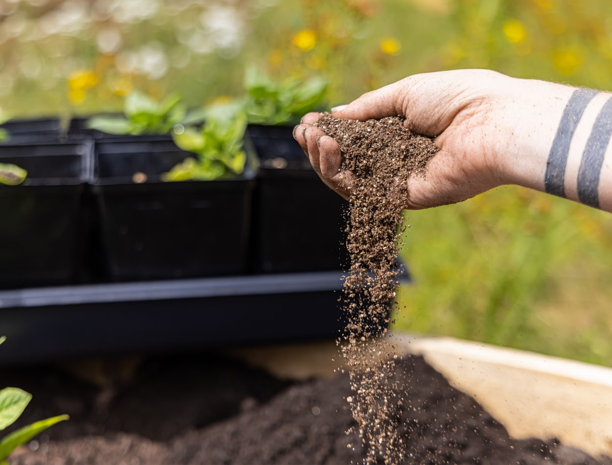 Collecting a Soil Sample the Right Way