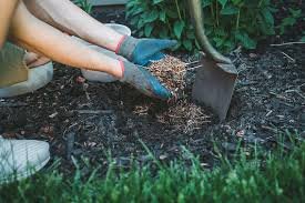 Refresh Your Mulch