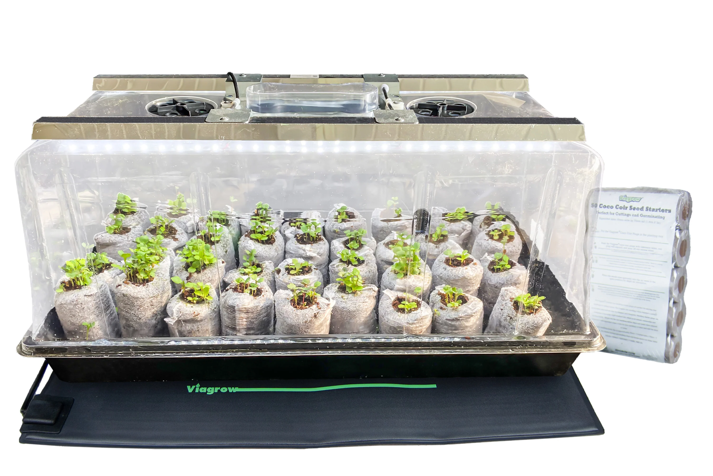 Prepping Seed Trays and Grow Lights for a Strong Start-A Late Winter Seedling Setup Guide for the Seacoast