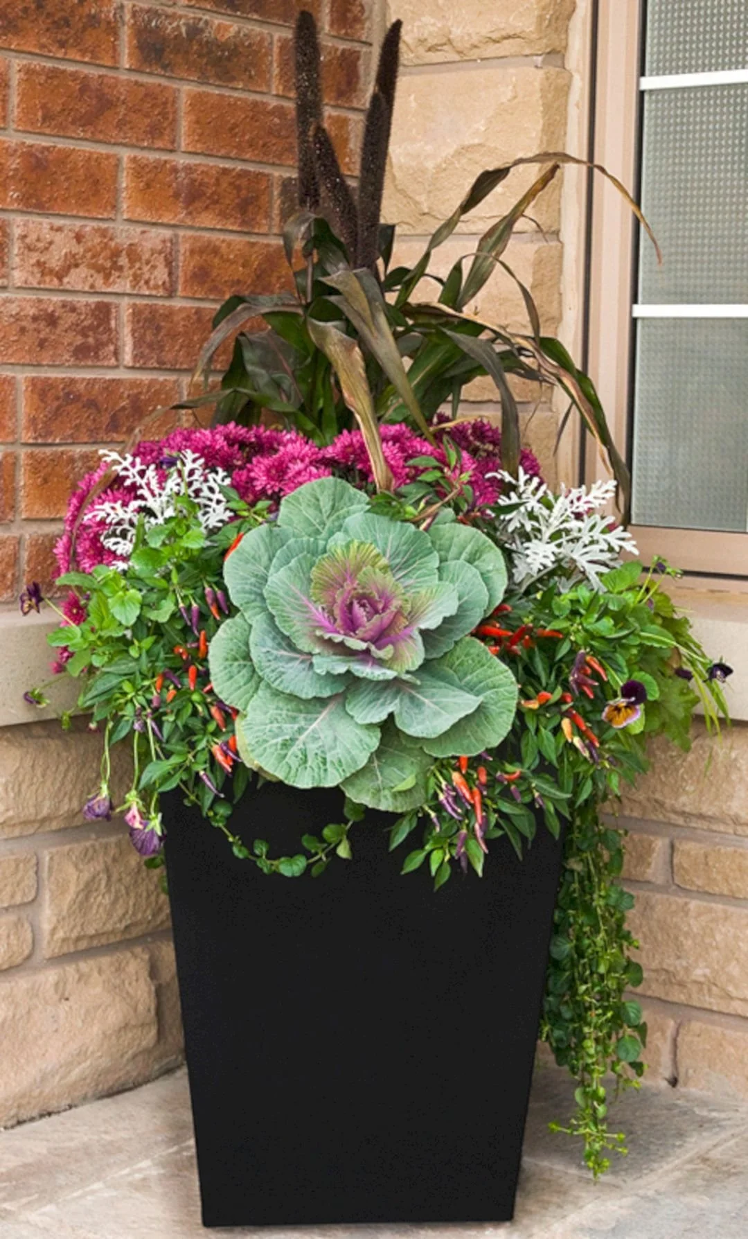 Planting Season Containers Seasonal Container Plantings — The Seacoast Gardener