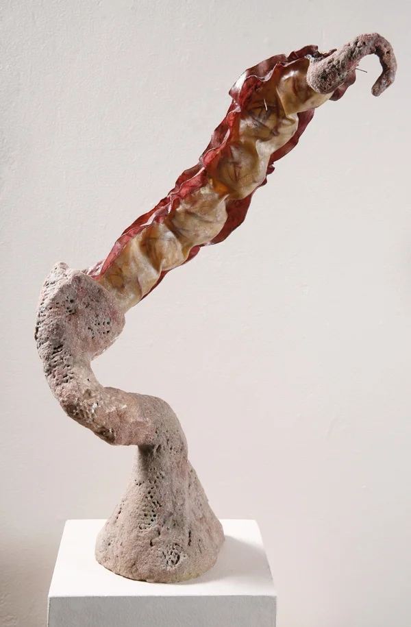 Ovary