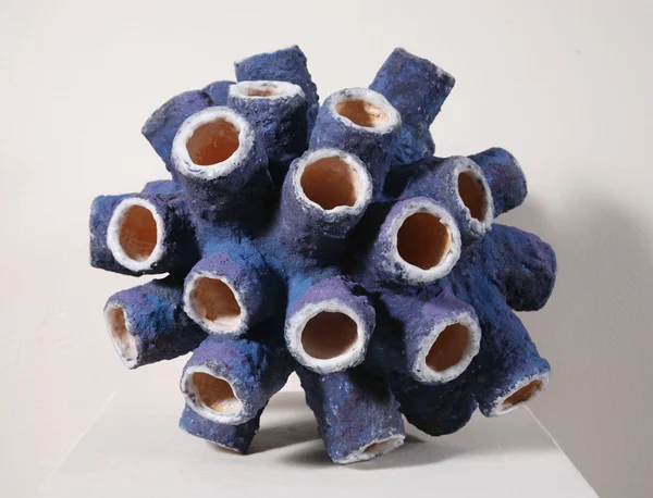 Barnacle Mixed