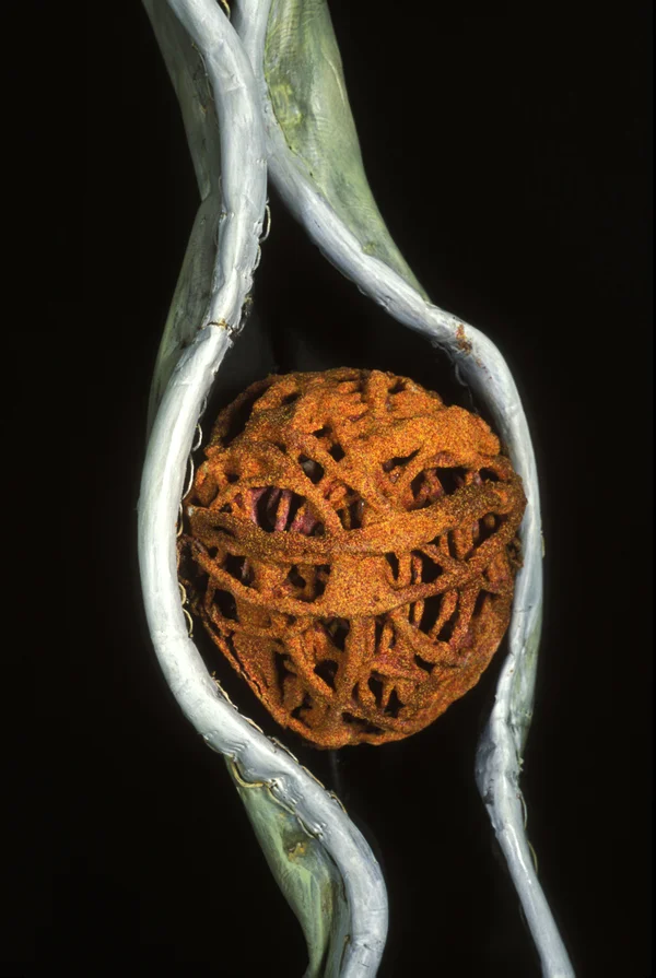 Pod, detail