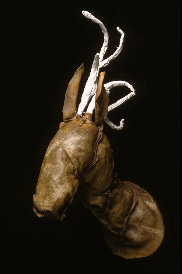 OH Deer Rawhide