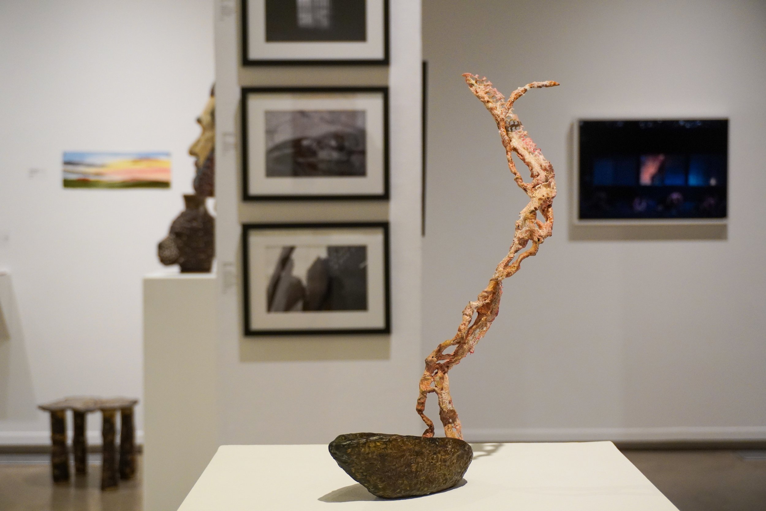   Ships Fall Off of the Horizon   Bronze, wire and fabric   