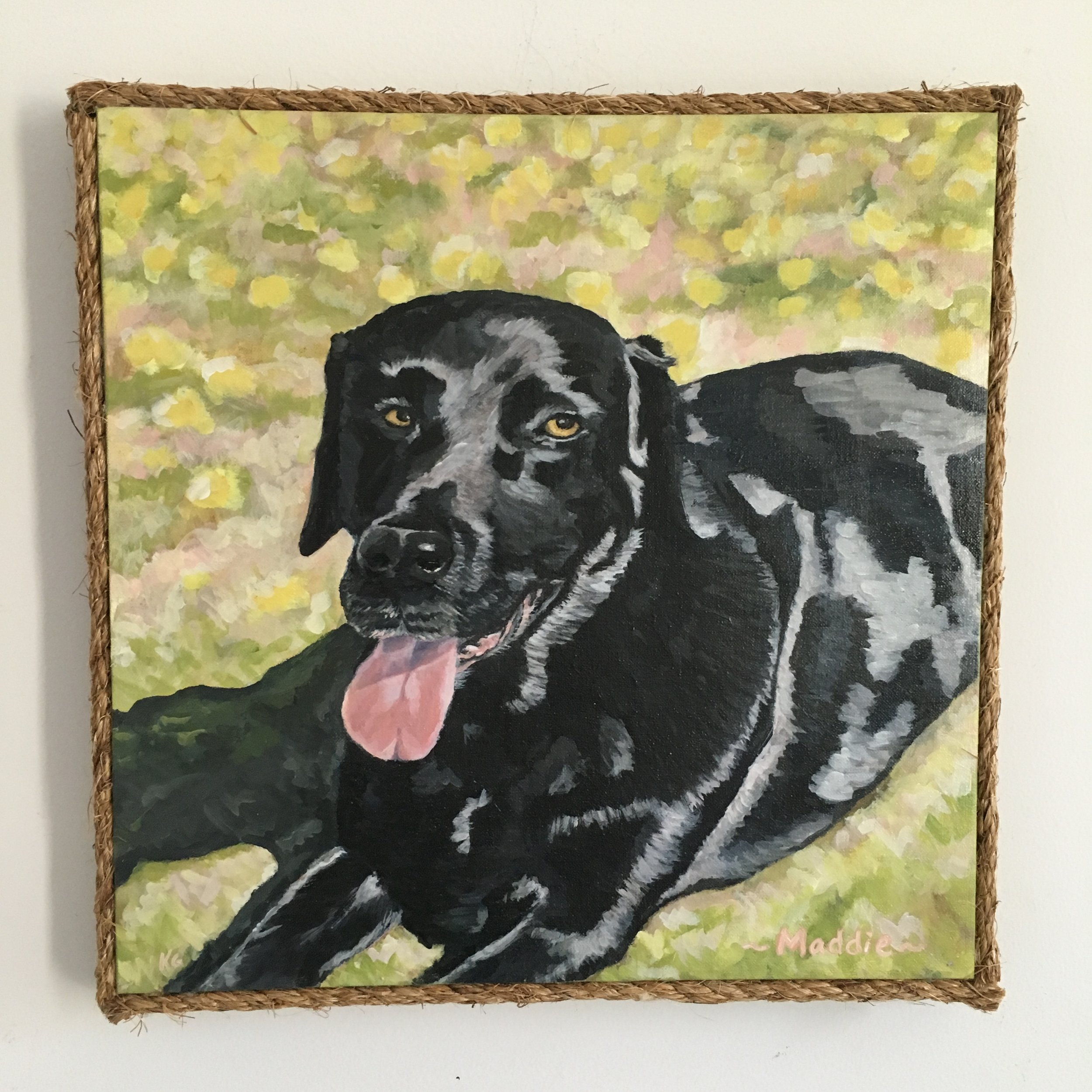maddie.jpg