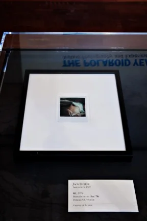 Sex-70's Single, Poalroid Years