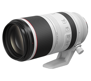 Canon RF 100-500mm f/4.5-7.1 L IS USM Lens