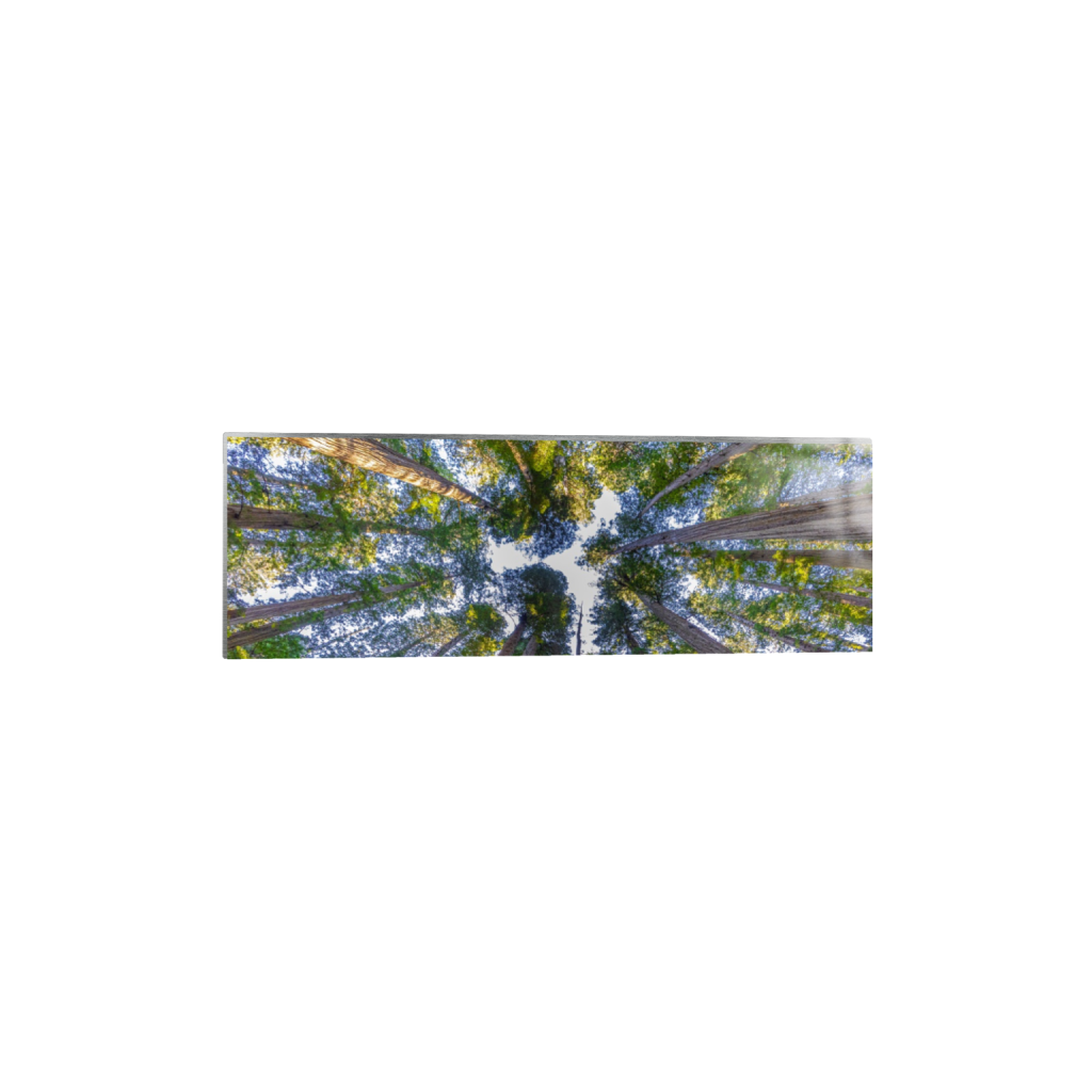 ptq_13_2_0_416_5000_1666_0_false_ffffff_0_0_.png