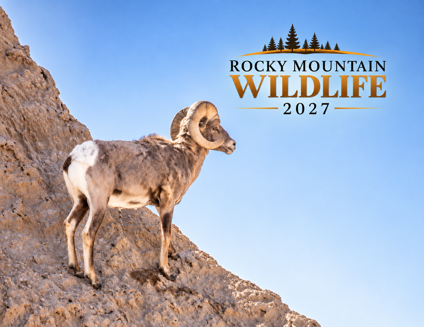 Rocky Mountain Ram Calendar Cover.png