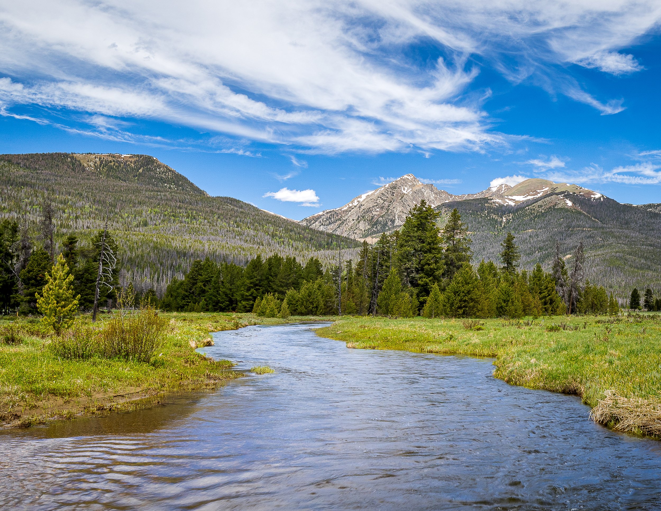 River flowing through a grassy valley with pine trees and snow-capped mountains under a blue sky