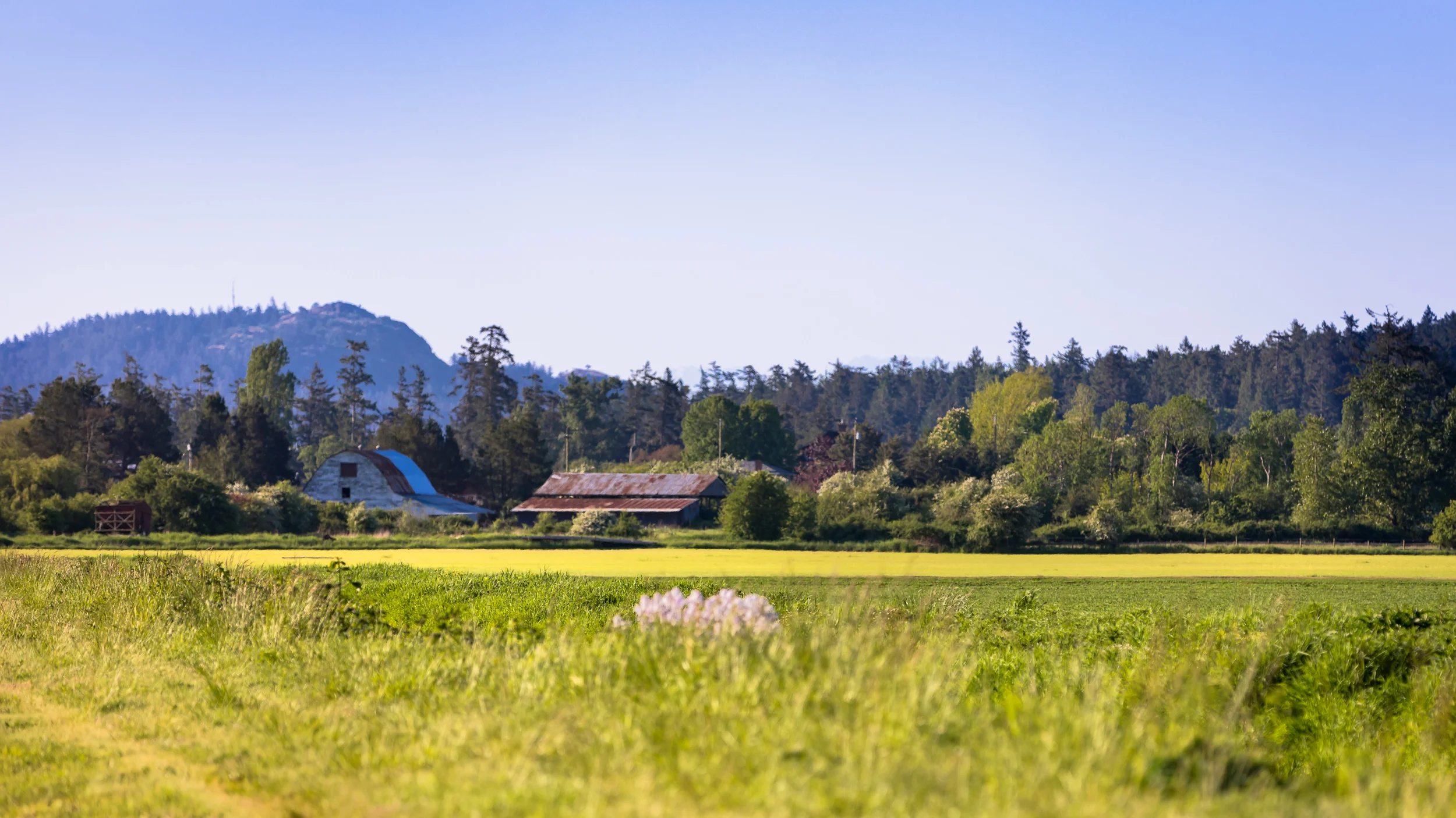 CentralSaanich.jpg
