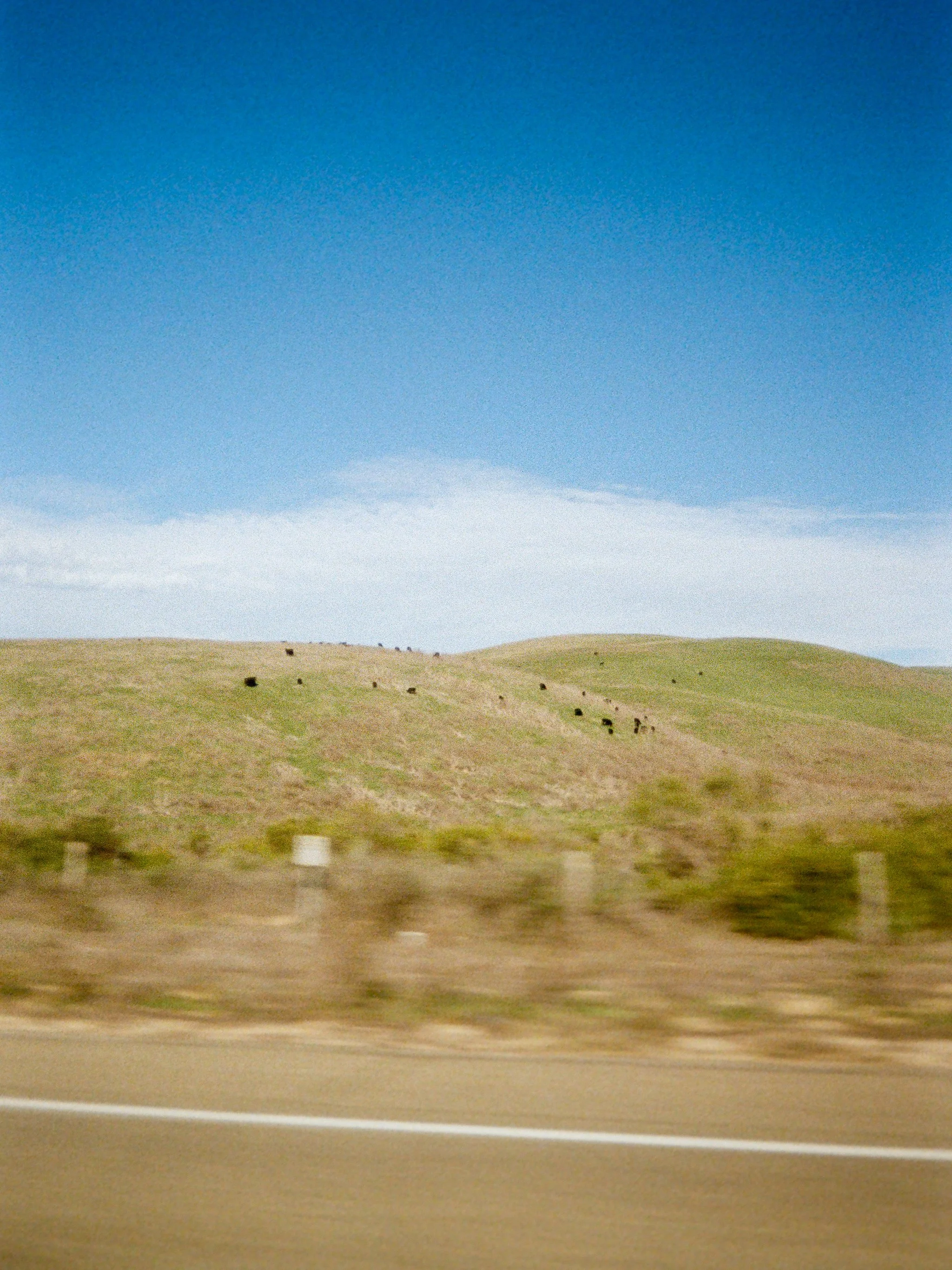 car windows-2.jpg