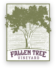 Falling Tree Vineyard