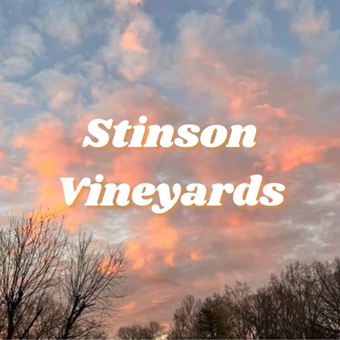 Stinson Vineyards 