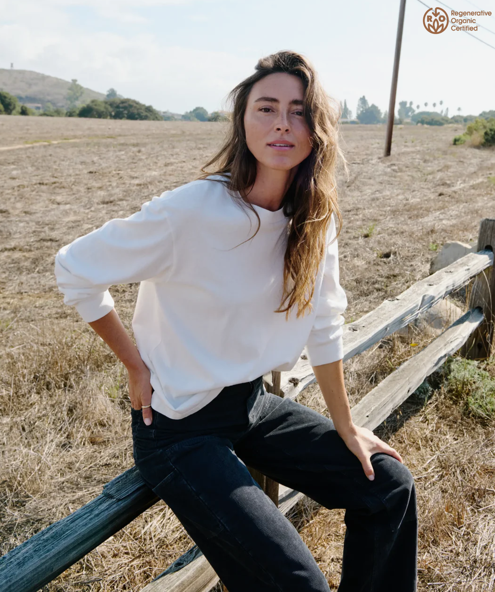 Screen Shot 2025-10-10 at 9.07.07 AM.png