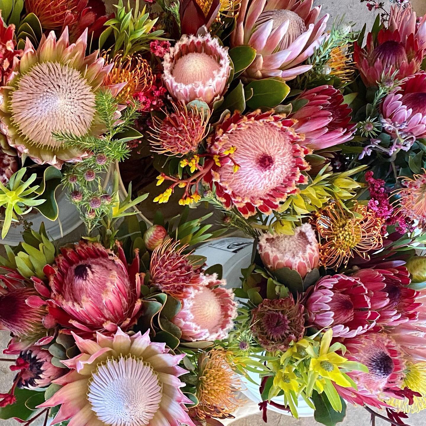 We are getting SO excited for another Mother&rsquo;s Day!! Don&rsquo;t forget to use discount code LOVEMOM for 15% off a bouquet for mom this year 😊

#wreath #proteawreath #easter #bouquet #easterflowers #flowers #protea #pincushion #banksia #sustai