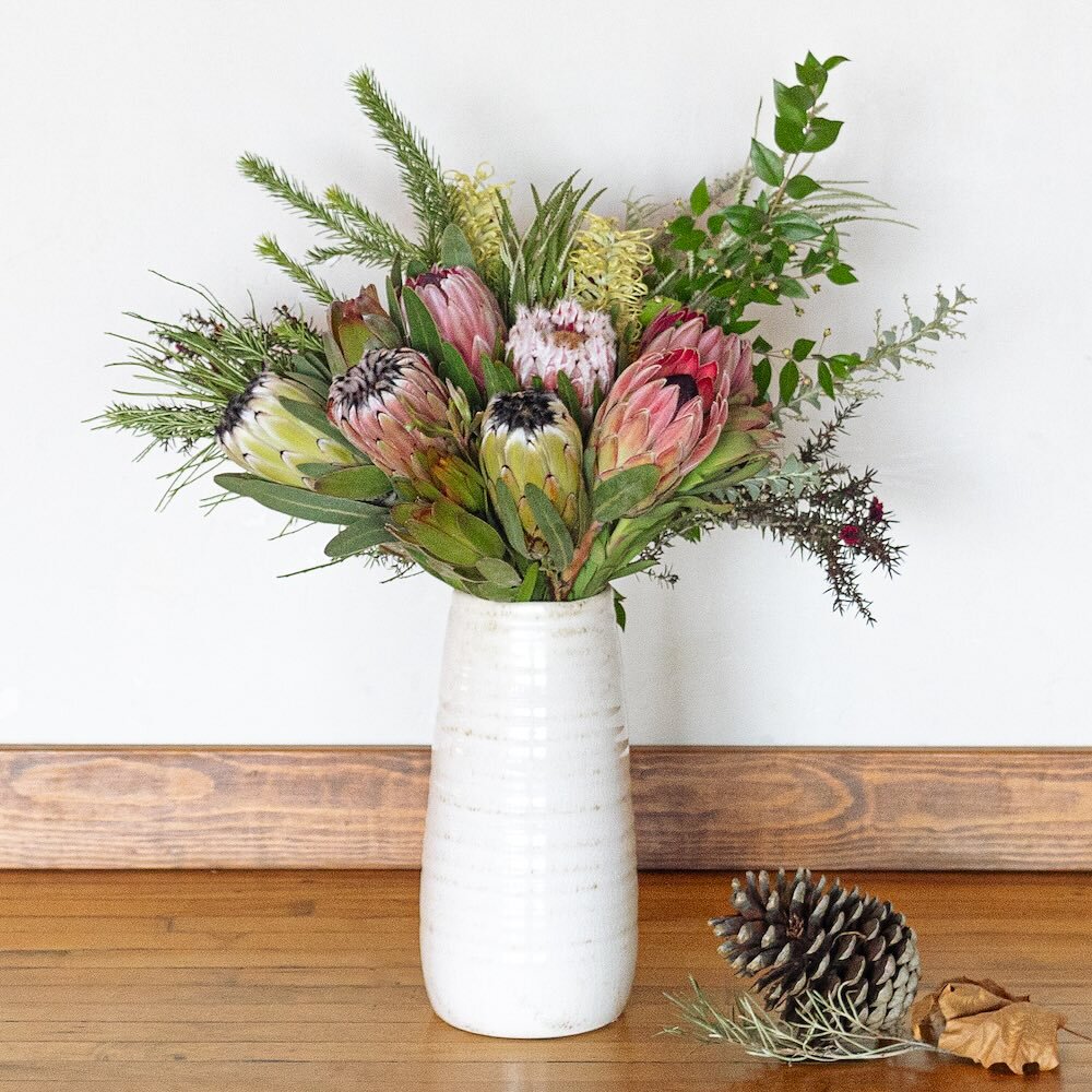 Send some Fall Sunshine to someone you love 🍂🌞 // Our Fall bouquet is NOW AVAILABLE!

#bouquet #flowers #protea #garden #planting #fallbouquet #thanksgiving #sustainable #sustainableflowers #sustainablefarm #flowerfarm #kingprotea #california #cali