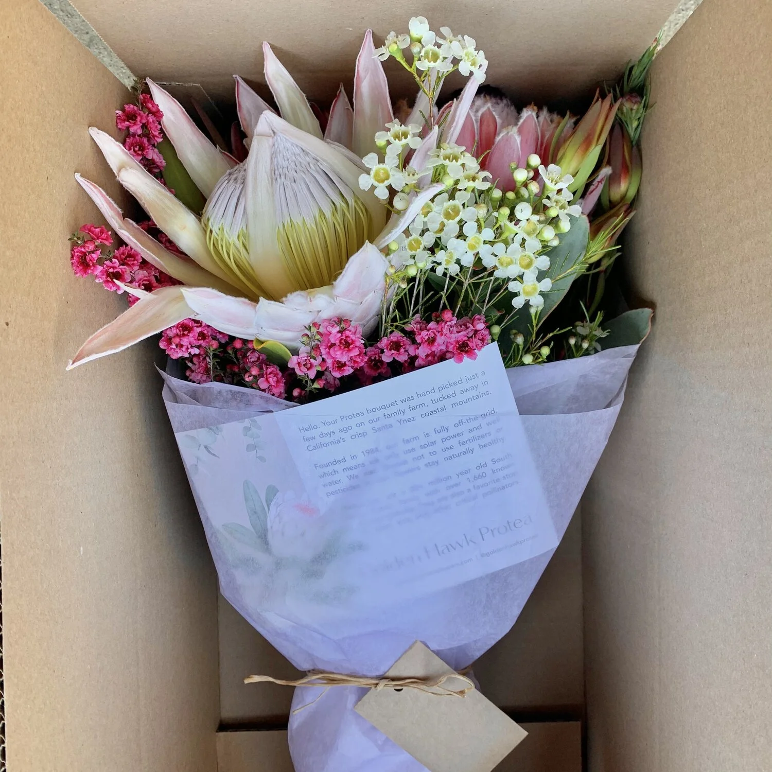 Sustainable Protea Delivery.jpeg