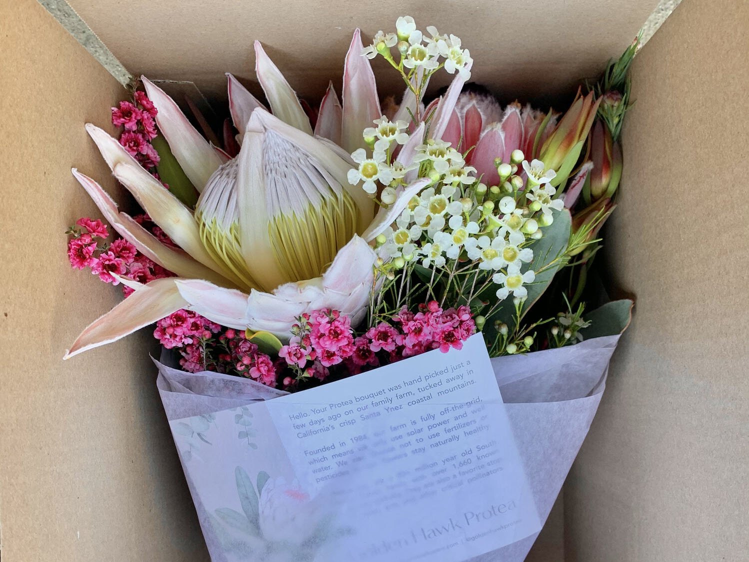 Sustainable Protea Bouquets: Farm to Table