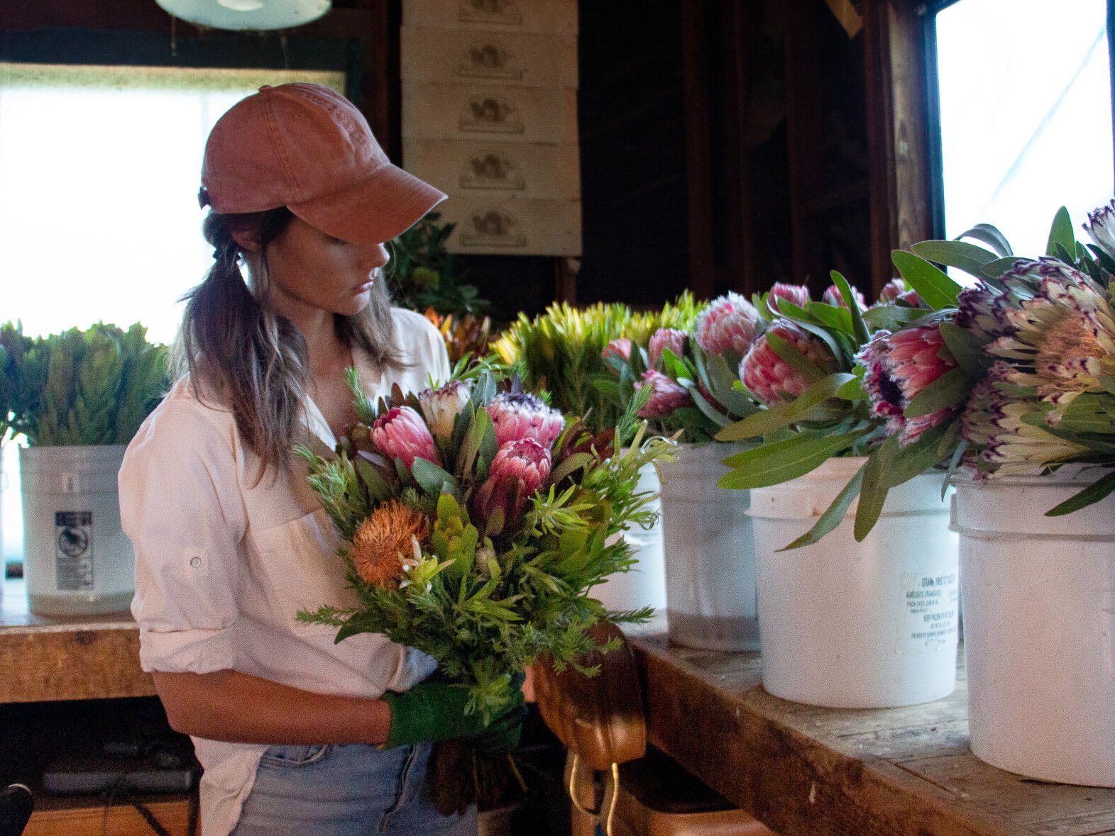 The Art of Crafting Protea Bouquets