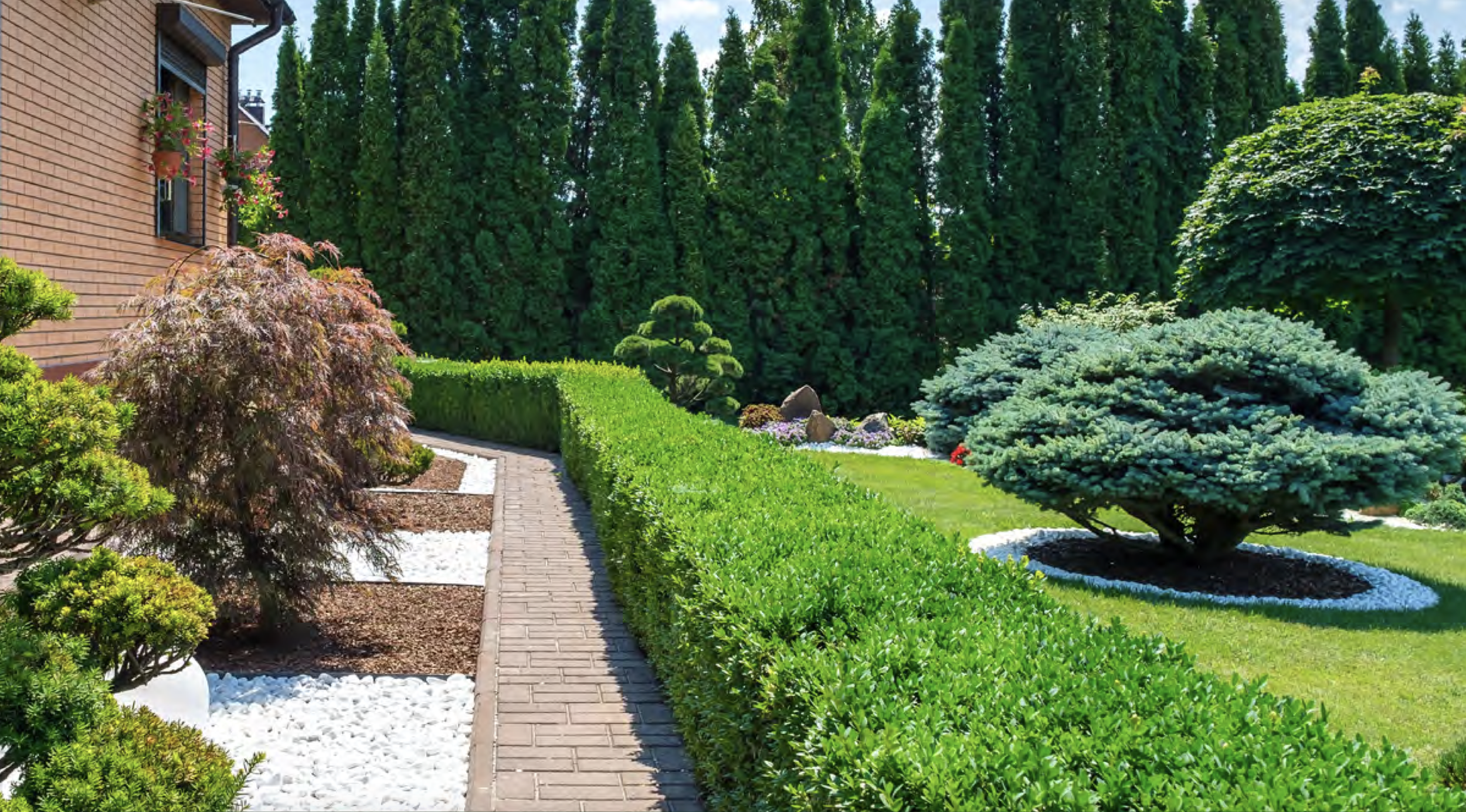 In competitive markets like Belmont and San Mateo, exterior upgrades can significantly impact buyer perception.