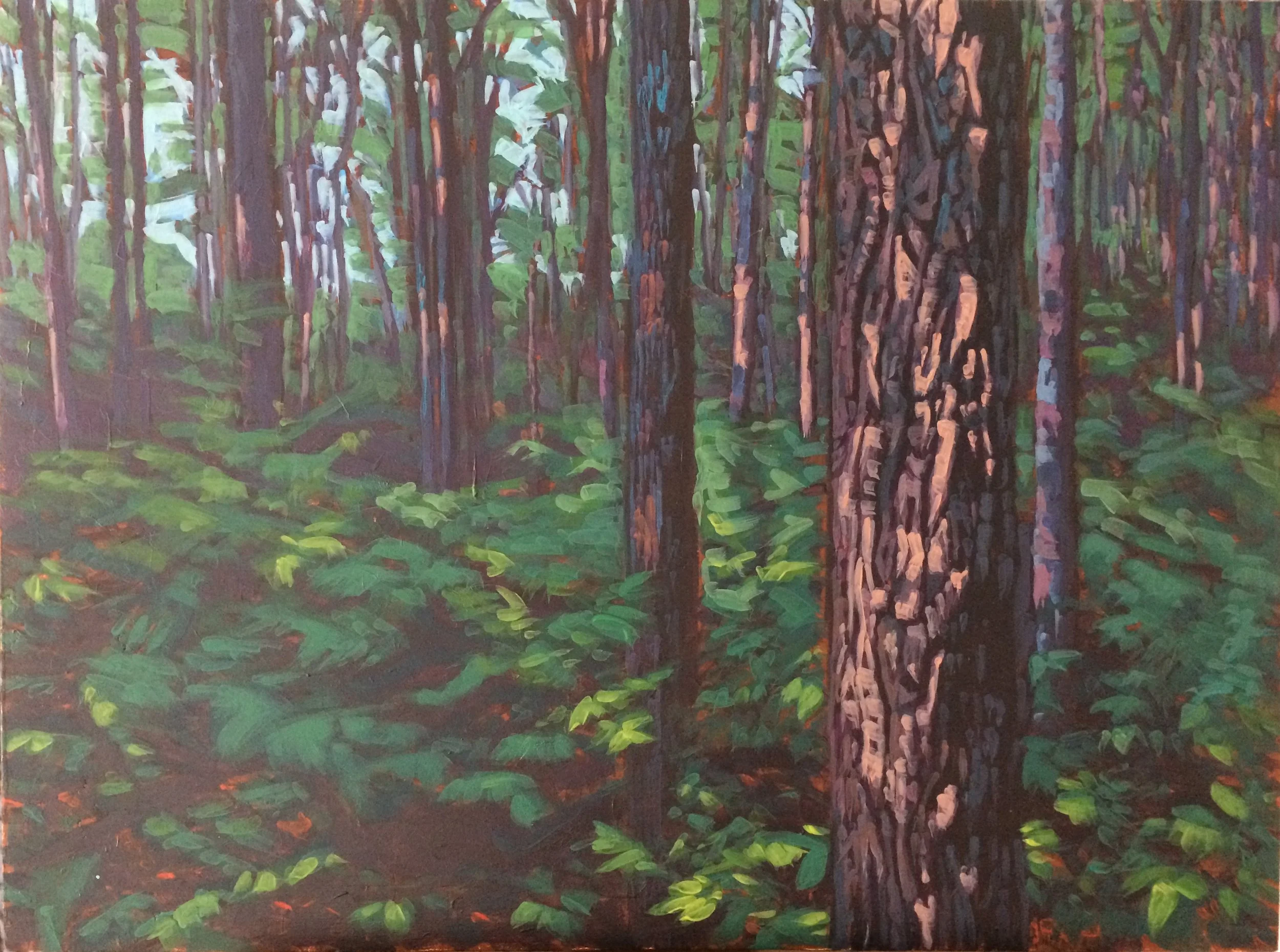 Green Forest.32x24.JPG