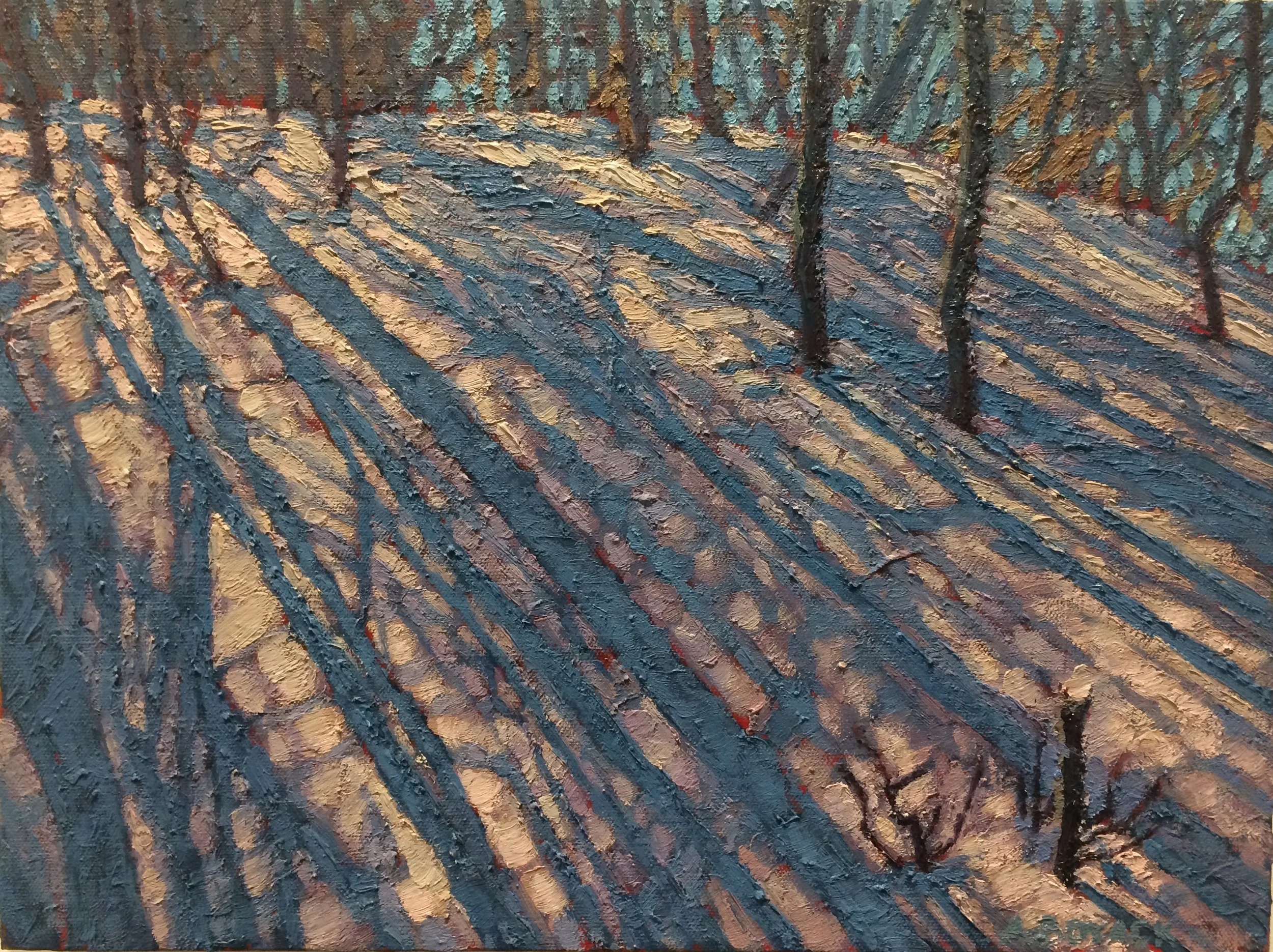 Hillside Shadows.16x12.JPG