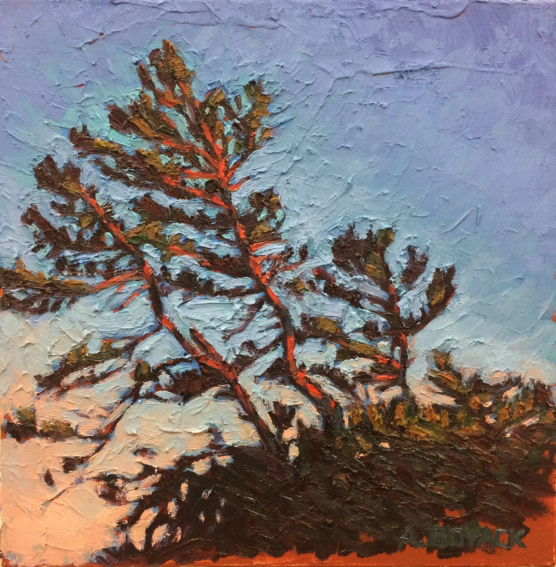 Changing Light.12x12.JPG