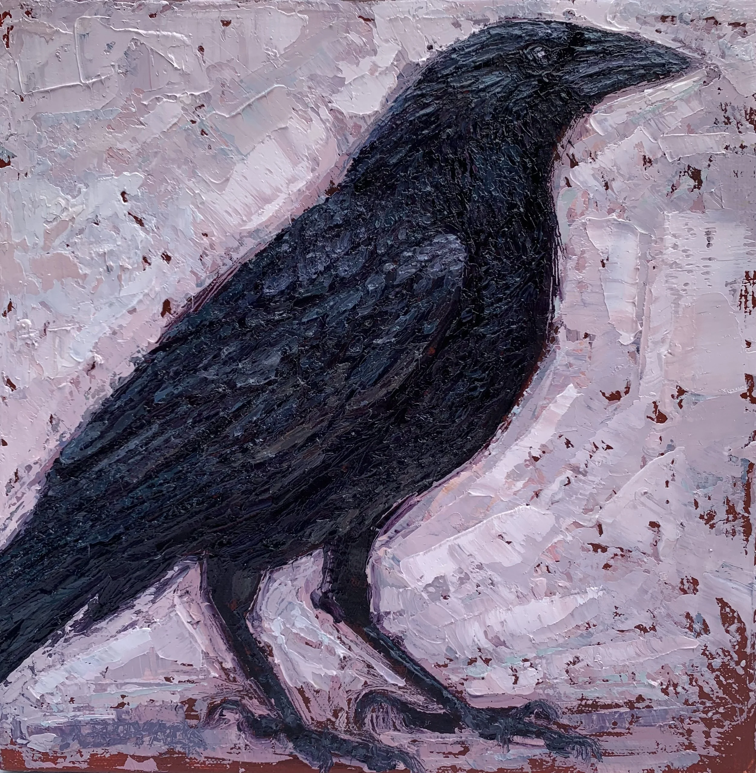 Crow Royale.12x12.jpg.jpg
