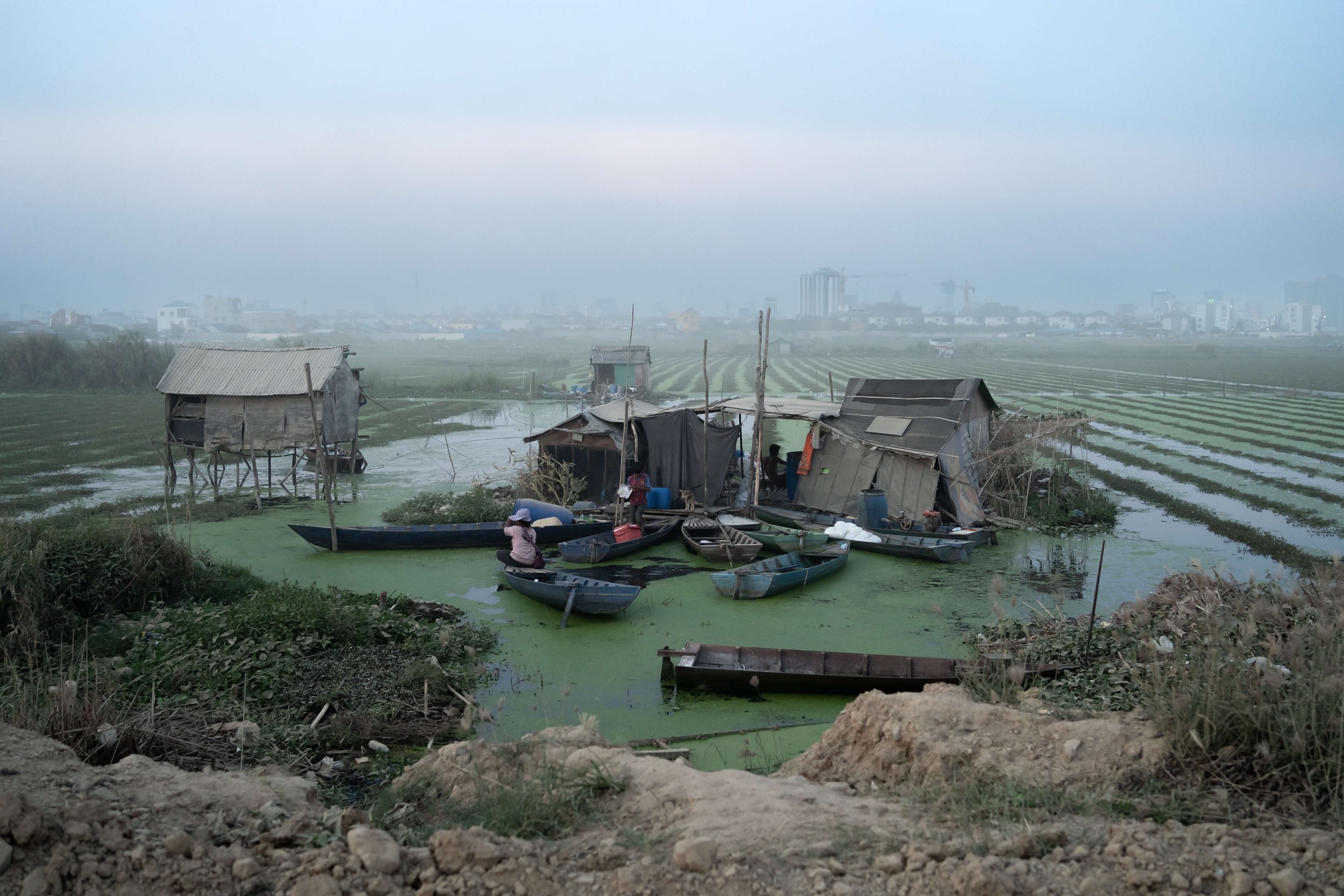  The houses of morning glory and mimosa farmers near a filled in section of the Boeung Tompun wetlands at dusk. As a result of the filling in of much of Phnom Penh’s lakes and wetlands, evictions have become commonplace. Most notably, the filling in 