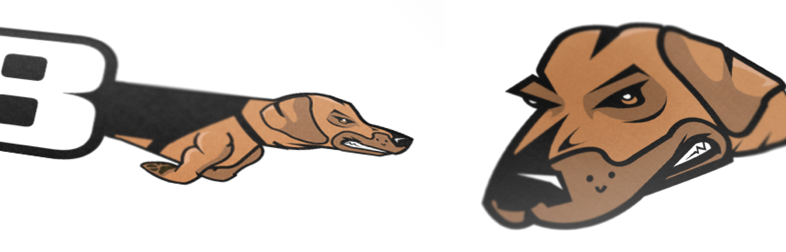 Closeups-03.png