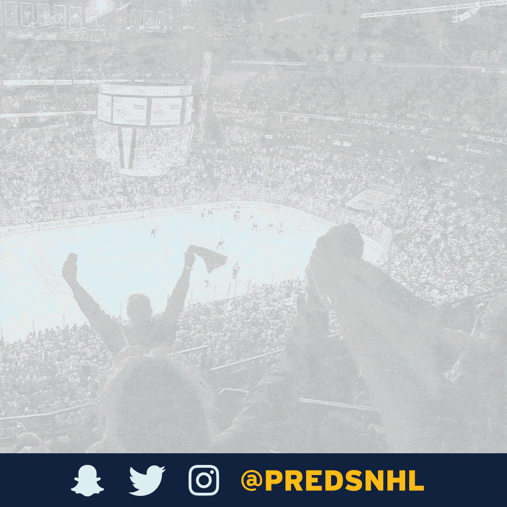 Preds+GIF.gif