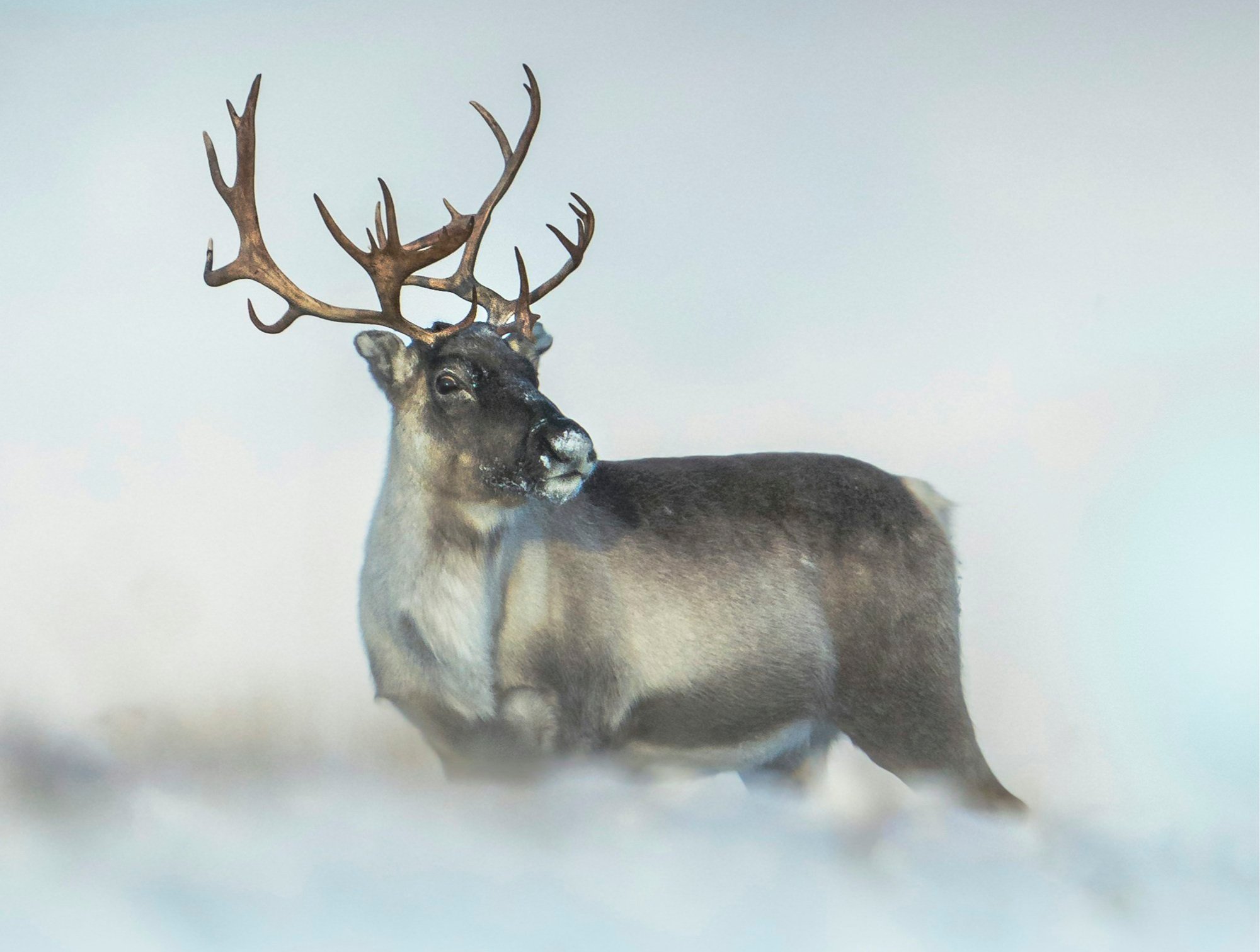 Winter Solstice Vigil - 2025