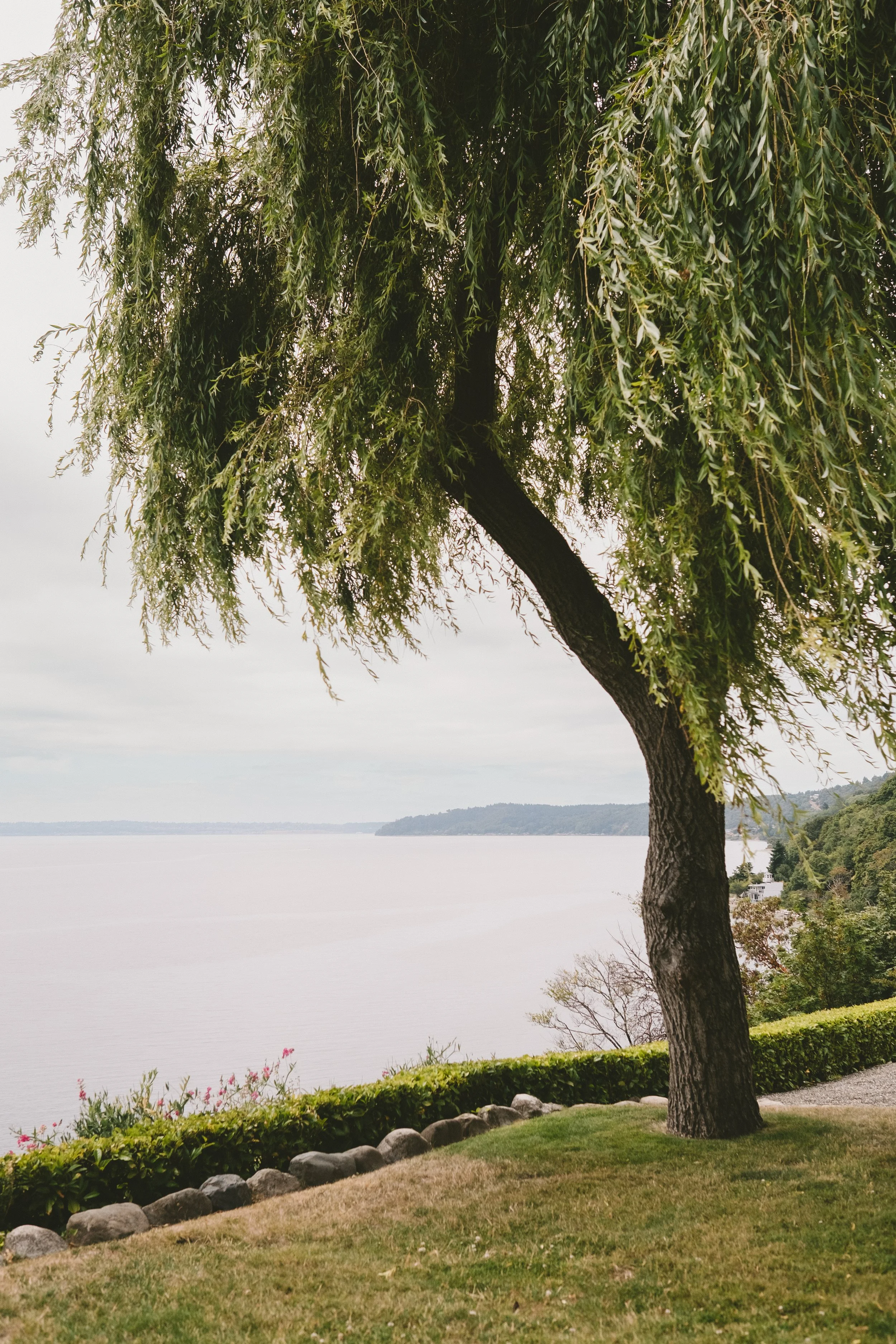 Katherine+Kevin-13 (1).jpg