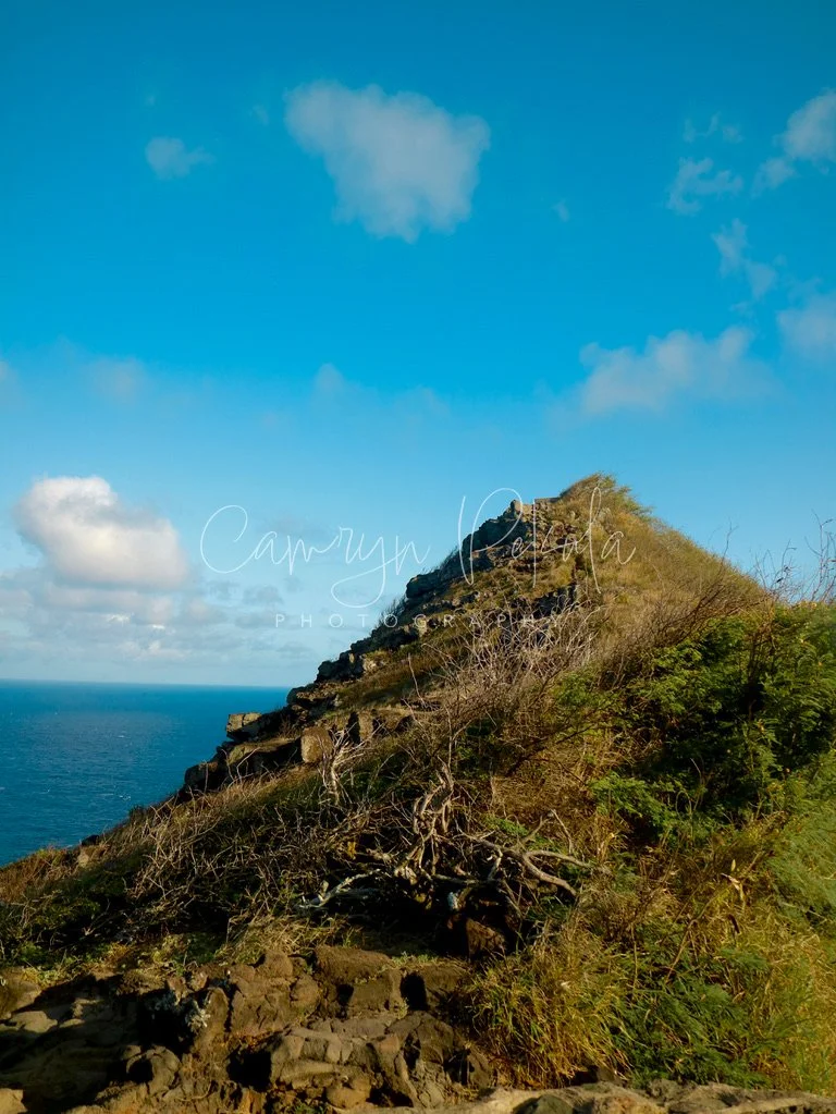 PillBox