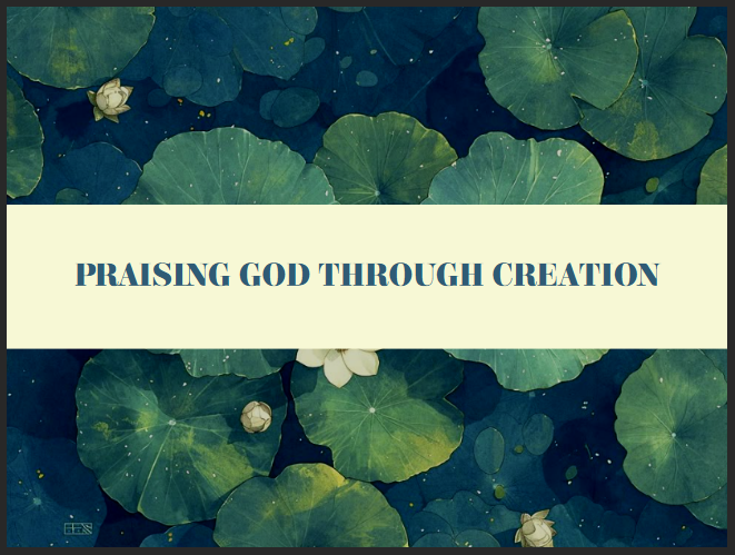 2B1 Praising God through Creation