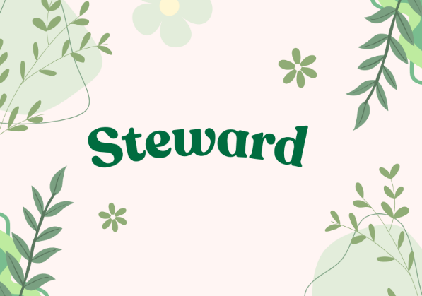Flash Card Steward